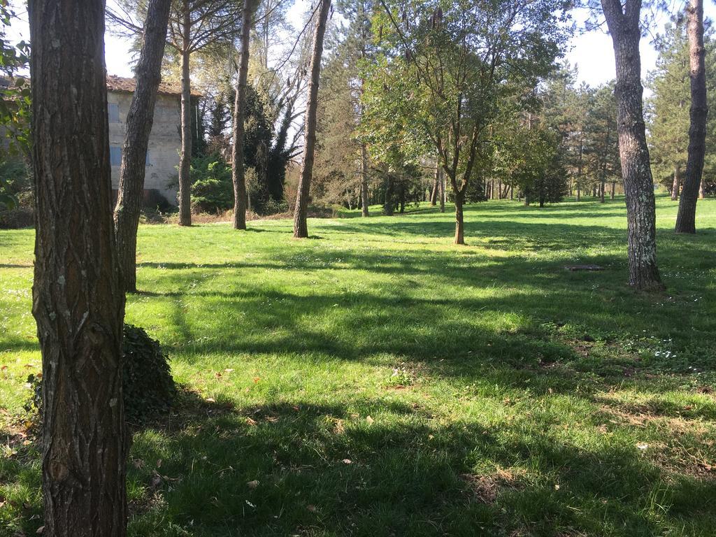 Old Town In The Green: Federico'S Apartment. Флоренция Экстерьер фото